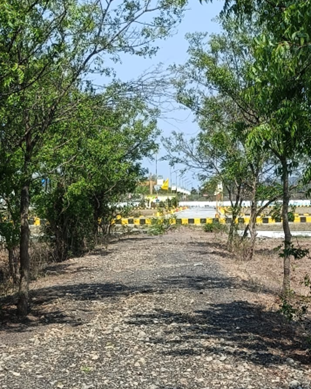 Picture8